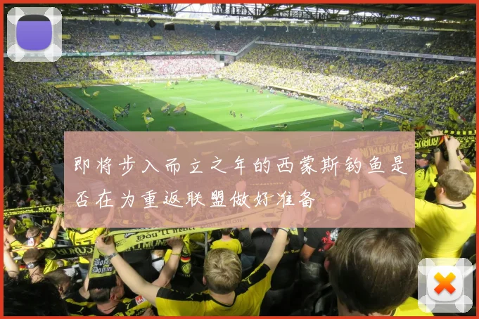 即将步入而立之年的西蒙斯钓鱼是否在为重返联盟做好准备