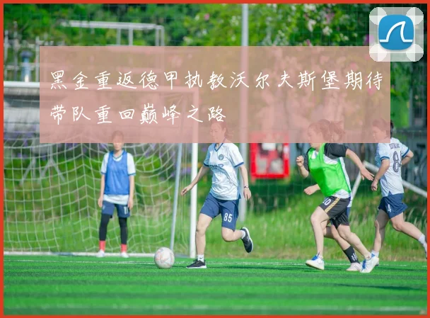 黑金重返德甲执教沃尔夫斯堡期待带队重回巅峰之路
