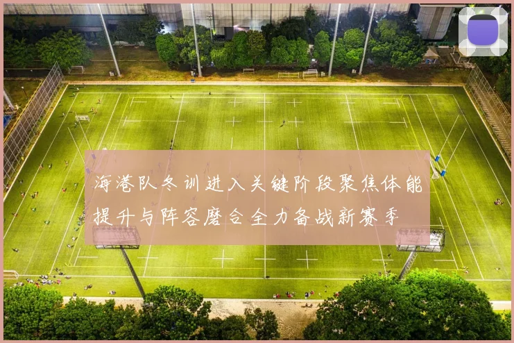 海港队冬训进入关键阶段聚焦体能提升与阵容磨合全力备战新赛季
