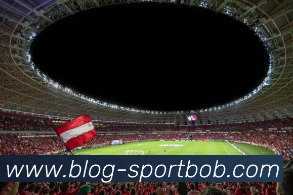 BOB体育服务体系